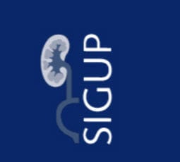 Sigup Logo Publicare